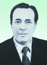 Салимгареев Рауиз Сахибгареевич